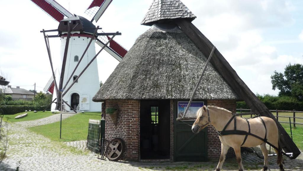 De Rosmolen Villa Ertvelde Екстериор снимка
