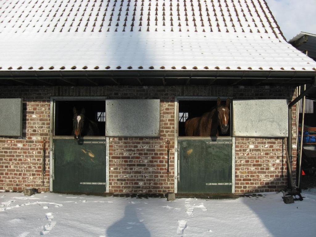De Rosmolen Villa Ertvelde Екстериор снимка