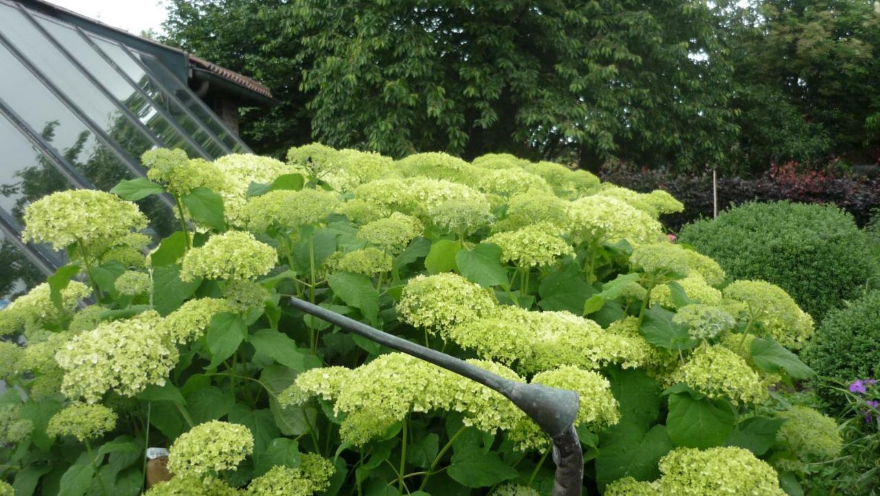 De Rosmolen Villa Ertvelde Екстериор снимка